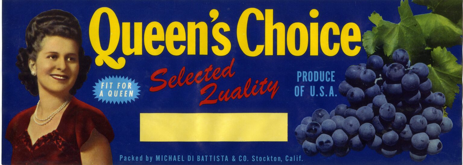 Queen s Choice